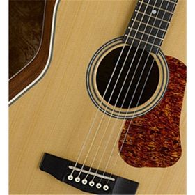 Cort L100CNS Akustik Gitar