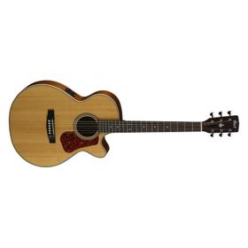 Cort L100CNS Akustik Gitar