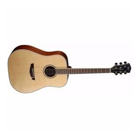 Cort PW310-OP Akustik Gitar