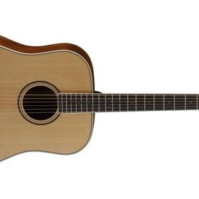 Cort PW410NS Akustik Gitar