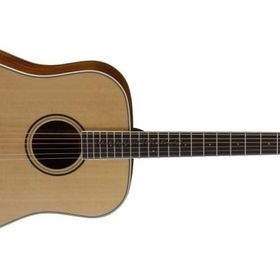 Cort PW410NS Akustik Gitar