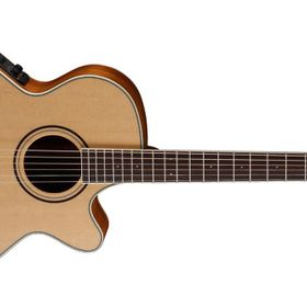 Cort PW470-NS Elektro Akustik Gitar