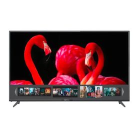 Coruian Dijitsu DJT65S 3 mm Uyumlu TV Ekran Koruyucu