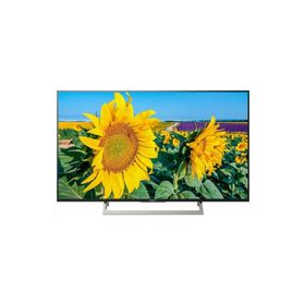 Coruian Sony 49XF8096 Tv Ekran Koruyucu / Ekran Koruma Paneli