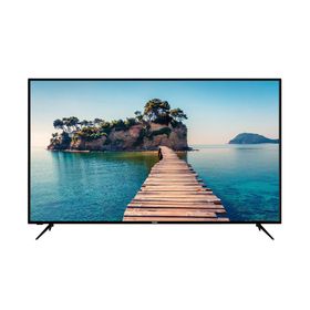 CORUIAN Vestel 55ud9281 Tv Ekran Koruyucu 3mm CR55UD9281
