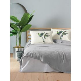 Cotton Box Bond Merops Gri Çift Kişilik Pike Takımı
