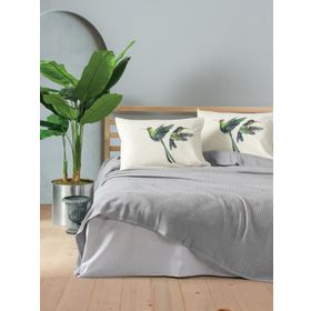 Cotton Box Bond Merops Gri Çift Kişilik Pike Takımı