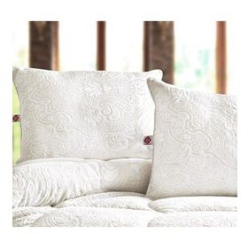 Cotton Box Posh Ekru Yastık