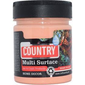 Craft Country 2500 cc 119 Somon Akrilik Hobi Boyası