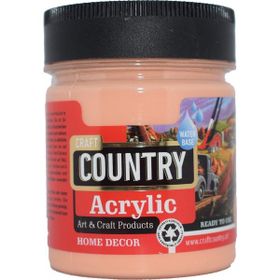 Craft Country 550 cc 119 Somon Akrilik Hobi Boyası
