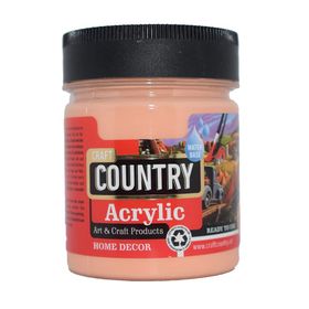 Craft Country 550 cc 119 Somon Akrilik Hobi Boyası