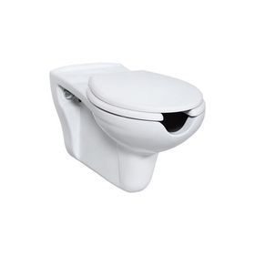 Creavit BD320-00CB00E-0000 Bedensel Engelli Asma Klozet