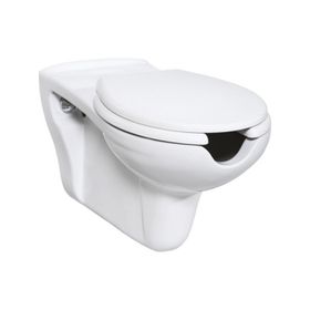 Creavit BD320 Bedensel Engelli Asma Klozet ve Kapak