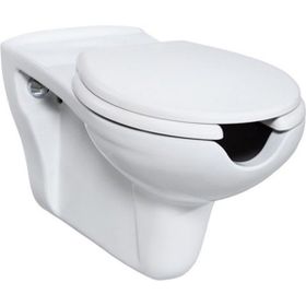 Creavit BD320 Bedensel Engelli Asma Klozet ve Kapak