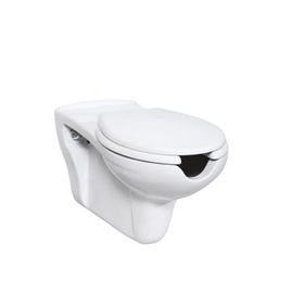 Creavit BD320 Bedensel Engelli Asma Klozet ve Kapak