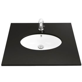 Creavit TP216 37x51 cm Tezgahaltı Lavabo