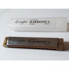 Cremonia HM0120 20 Delik Armonika Mızıka