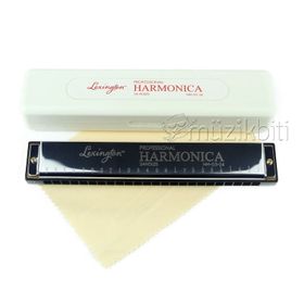 Cremonia HM0324 24 Delik Armonika Mızıka