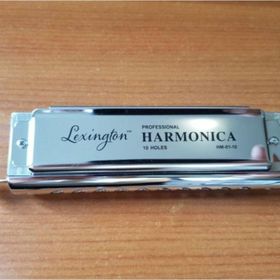 Cremonia HM10C Kromatik 10 Delikli 40 Sesli Pompalı Mızıka