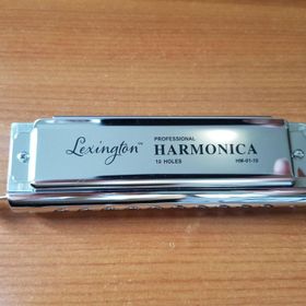 Cremonia HM10C Kromatik 10 Delikli 40 Sesli Pompalı Mızıka