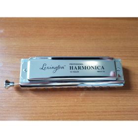 Cremonia HM10C Kromatik 10 Delikli 40 Sesli Pompalı Mızıka