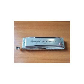 Cremonia HM10C Kromatik 10 Delikli 40 Sesli Pompalı Mızıka