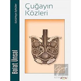 Çuğayın Közleri - Bolat Ünsal - Ayata Kitap