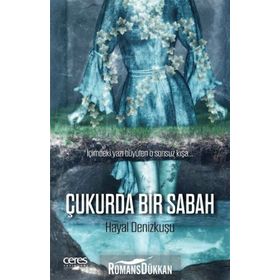 Çukurda Bir Sabah - Hayal Denizkuşu