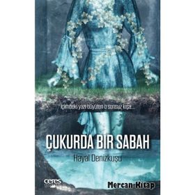 Çukurda Bir Sabah - Hayal Denizkuşu