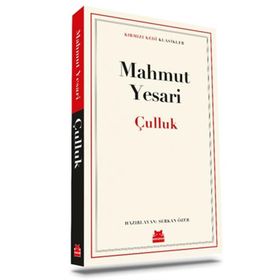 Çulluk Kırmızı Kedi Yayınevi