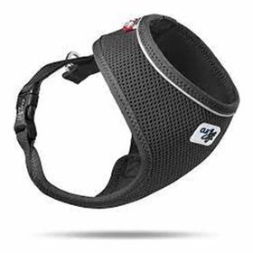Curli Air Mesh Siyah l Vest Köpek Göğüs Tasması