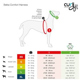 Curli Belka Comfort Köpek Kırmızı M Göğüs Tasması