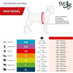 Curli Clasp Air-Mesh Siyah Large Vest Göğüs Tasması