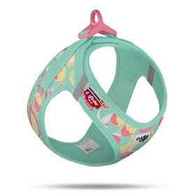Curli Vest Harness 26.7x30.1 cm Turkuaz 3XS Köpek Göğüs Tasması