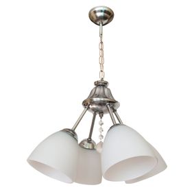 D-Light Tulu 4'lü Avize