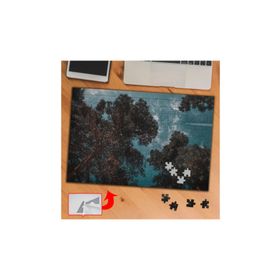 D7A7A Ağaçları Kaplayan Gökyüzü 240 Parça Puzzle Yapboz Tablo