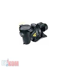 Dab Euroswim 75 T Havuz Pompası