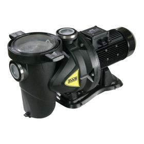 Dab Euroswim 75 T Havuz Pompası