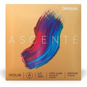 D'addario A312 4/4M Ascente Scale 4/4 LA Medıum Keman Tek Tel