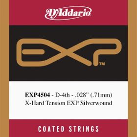 D'addario EXP4504 Tek Teli Pro Arte Nylon Core Silve Klasik Gitar