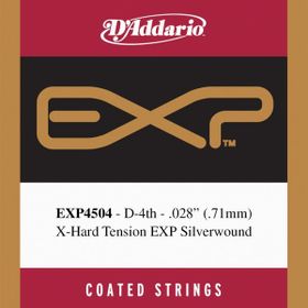 D'addario EXP4504 Tek Teli Pro Arte Nylon Core Silve Klasik Gitar