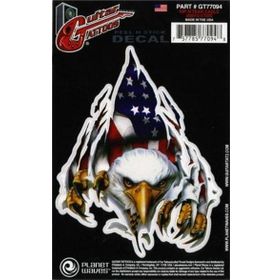 D'addario GT77094 Rıp N Tear Eagle Gitar Stickerı