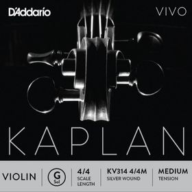 D'addario KV314 Kaplan Vıvo Scale Length 4/4 G-S Keman Tek Tel