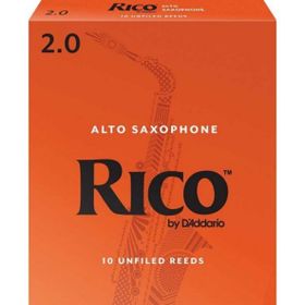 D'addario Woodwinds Rico RJA1020 Alto Sax Kamışı