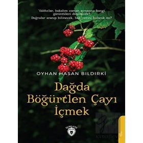 Dağda Böğürtlen Çayı İçmek - Dorlion Yayınları