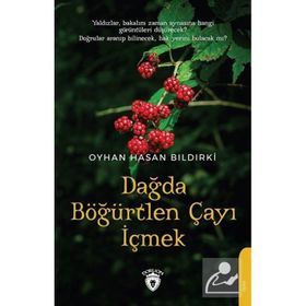 Dağda Böğürtlen Çayı İçmek - Dorlion Yayınları