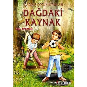DAĞDAKI KAYNAK - GENEL