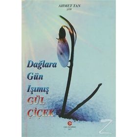 DAĞLARA GÜN IŞIMIŞ GÜL ÇIÇEK - AHMET TAN
