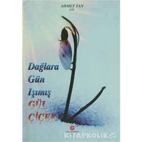 DAĞLARA GÜN IŞIMIŞ GÜL ÇIÇEK - AHMET TAN