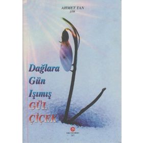 DAĞLARA GÜN IŞIMIŞ GÜL ÇIÇEK - AHMET TAN